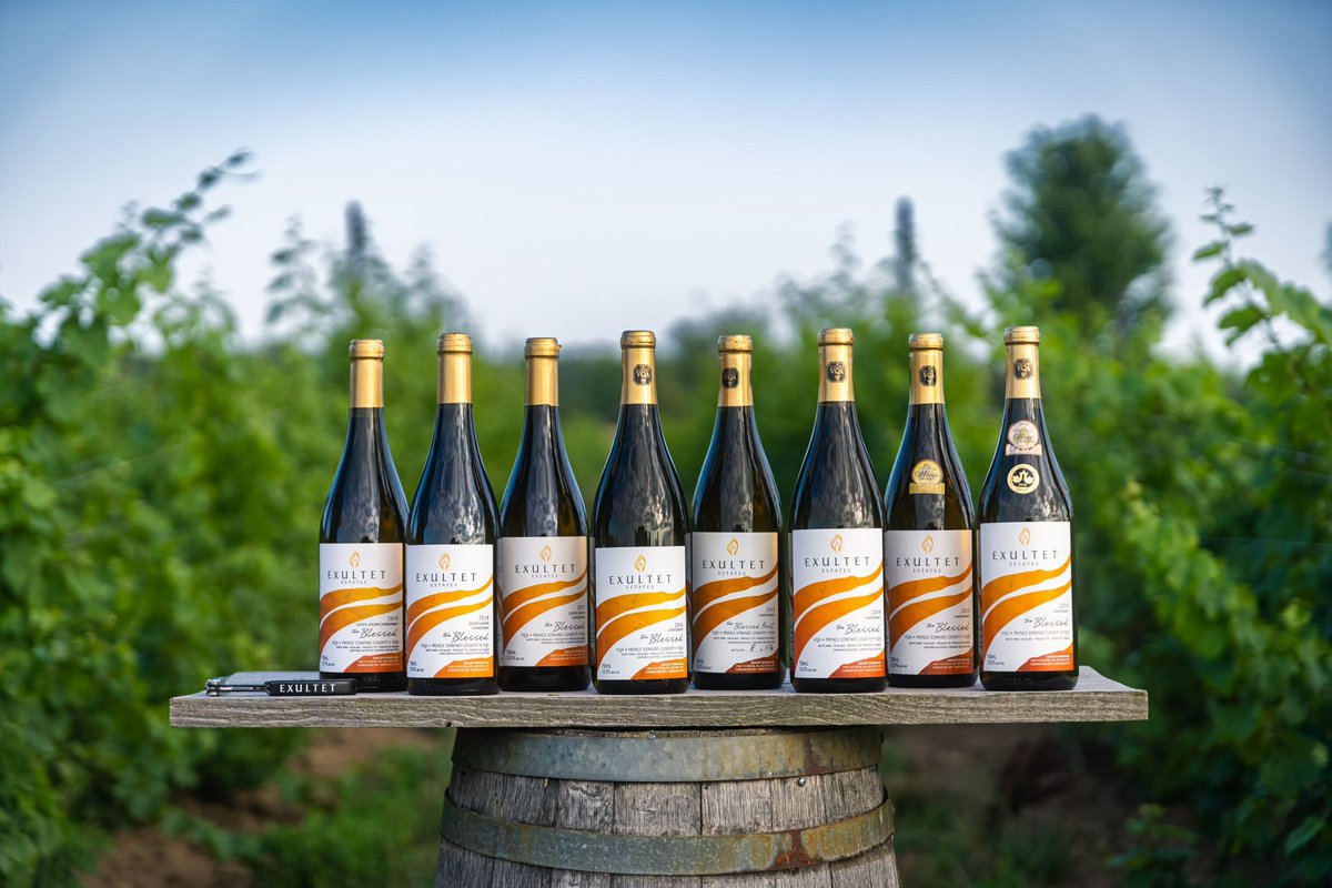 Happy #InternationalChardonnayDay! Enjoy a glass….🥂 #ExultetWines #CoolClimate #oakedchardonnay #estategrown #PrinceEdwardCounty # certifiedsustainable
