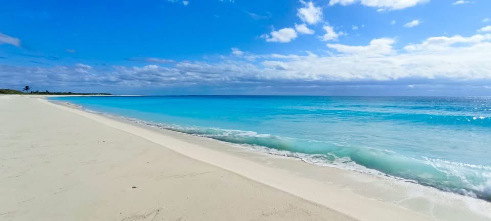 🌊 ¡Las playas de Cozumel, como deben ser!
 Aguas cristalinas, arena suave, blanca y limpia. Perfectas para disfrutar del mar, relajarte o hacer snorkel.
🌴 ¿Qué esperas para conocerlas? ¡Te esperamos en el mar!

 #PlayasLimpias #Cozumel #CaribeMexicano