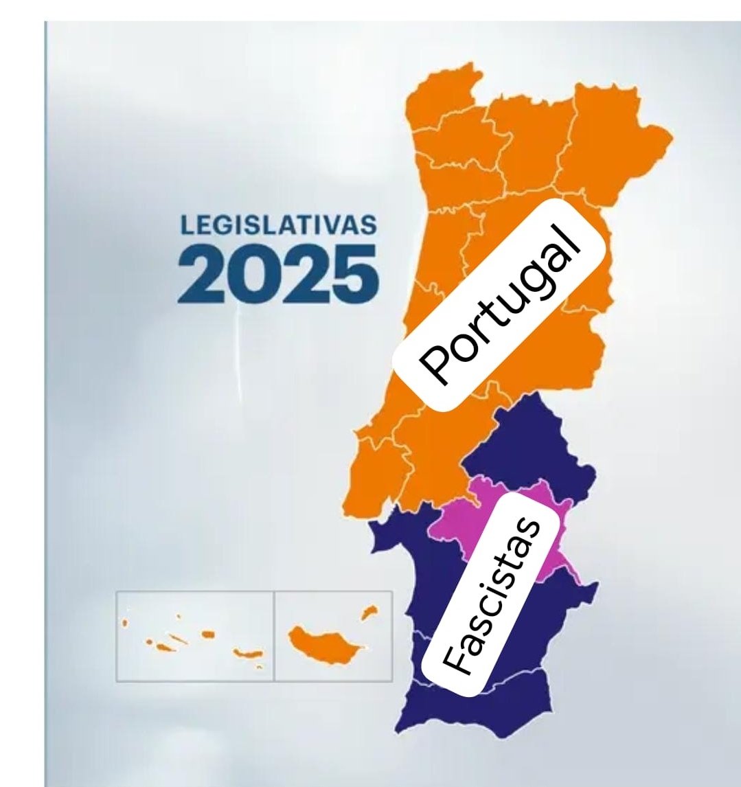 Elisabete Sousa tweet media