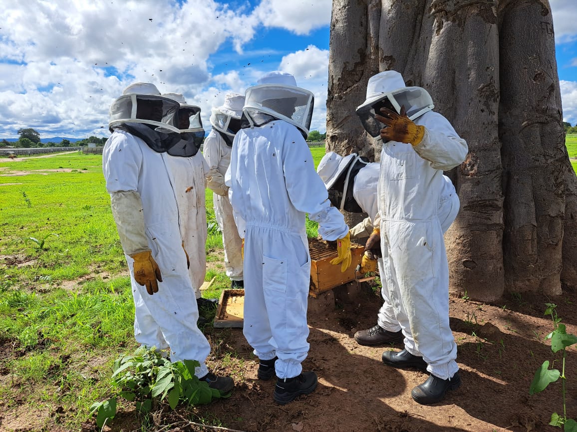 PIDG (@pidgorg) on Twitter photo #BiodiversityDay: <a href="/JCM_Power/">JCM Power</a> has delivered #beekeeping training as part of wider efforts to increase #biodiversity close to Golomoti Solar in #Malawi. The plant was co-developed by <a href="/InfracoAfrica/">PIDG Project Development – Africa (InfraCo)</a>. Fide talks about her learning from the training. pidg.org/impact-story/m… #BiodiversityDay: <a href="/JCM_Power/">JCM Power</a> has delivered #beekeeping training as part of wider efforts to increase #biodiversity close to Golomoti Solar in #Malawi. The plant was co-developed by <a href="/InfracoAfrica/">PIDG Project Development – Africa (InfraCo)</a>. Fide talks about her learning from the training. pidg.org/impact-story/m…