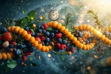 "Plant-Based Diet Could Turn Back Biological Aging" from Neuroscience News...

neurosciencenews.com/plant-diet-bio…

#nutrition