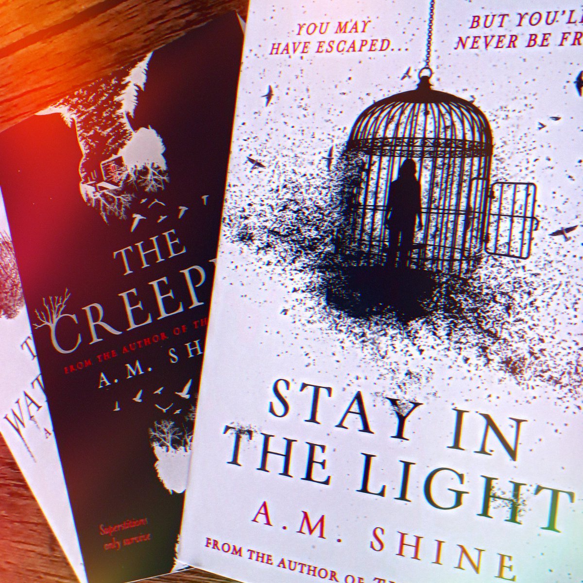 For a limited time only, the #kindle edition of #StayInTheLight is selling for €1.88.
amzn.eu/d/9dmfwoi