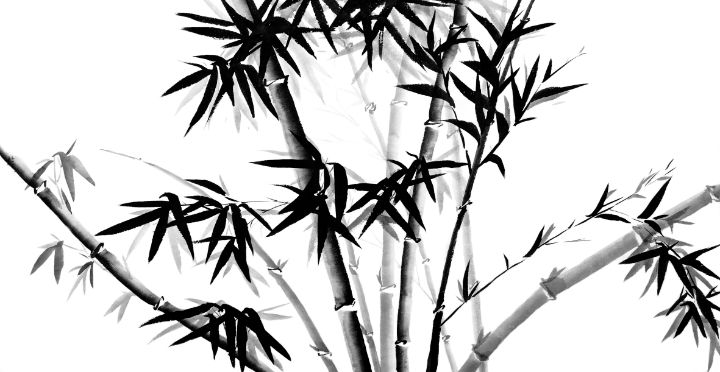 Art of the Day: "Bamboo". Buy at: ArtPal.com/moldenhauer?i=…