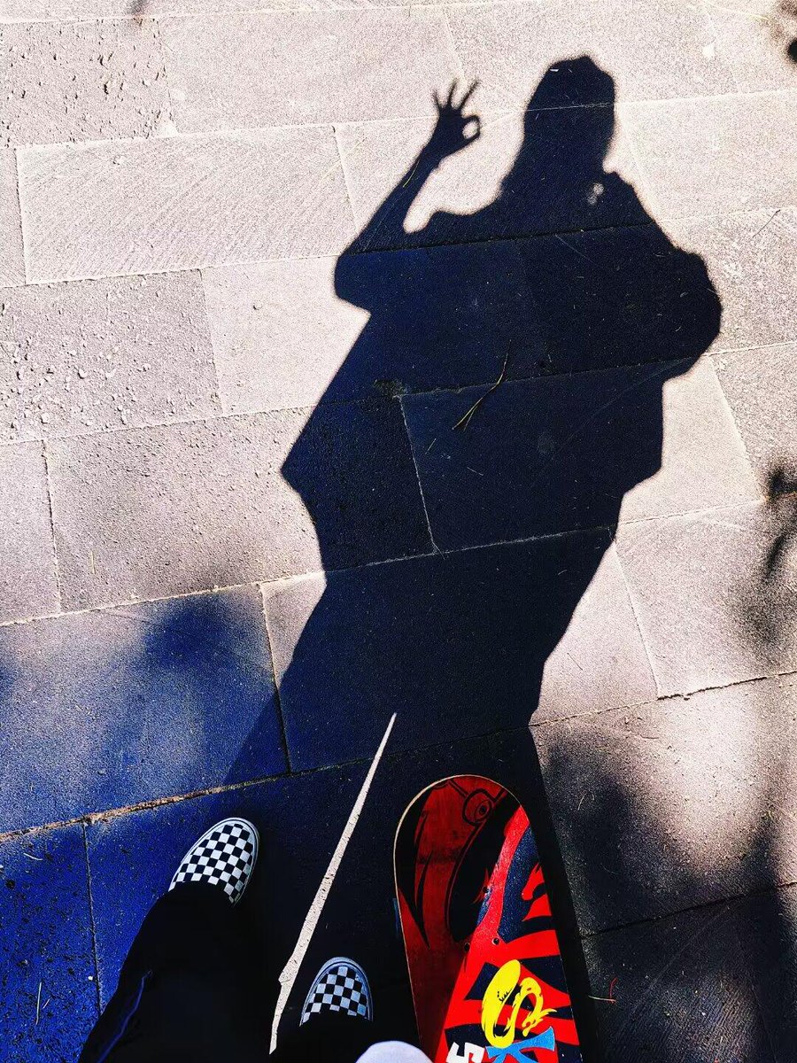 木は夏を渡る風の緑の海です🍃