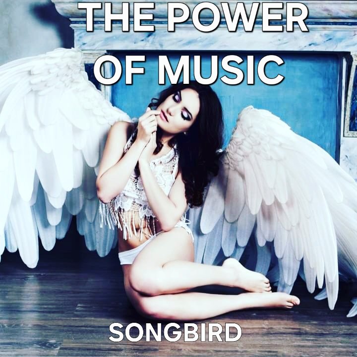 IN THE WARS ❤️
I'm doing really well 🤣🤭went to an open mic 🎤 to try and sing as had laryngitis and before I get a chance to sing,  I hurt my neck .
Probably shouldn't be online but what's a girl to do 
amazon.com/music/player/a…

ssongbird.co.uk 
Reverbnation.com/lperrysmusic