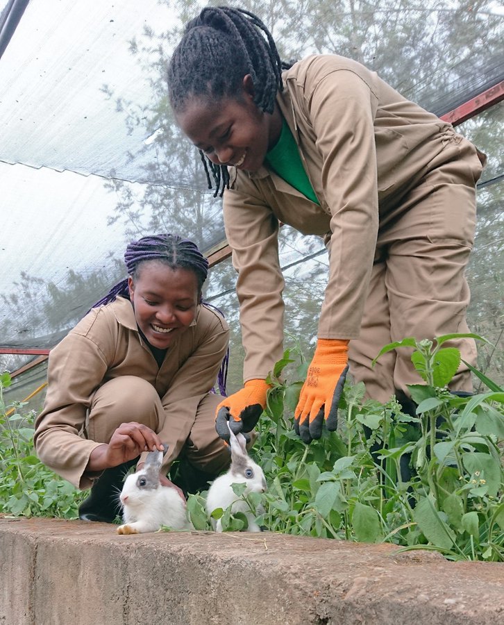 "Rabbit production, also known as rabbit farming or cuniculture, raises rabbits for meat, Rabbit meat is considered a delicacy in many parts of the world and is a rich source of protein, vitamins, and minerals. Additionally, rabbits are low-maintenance and require little space"