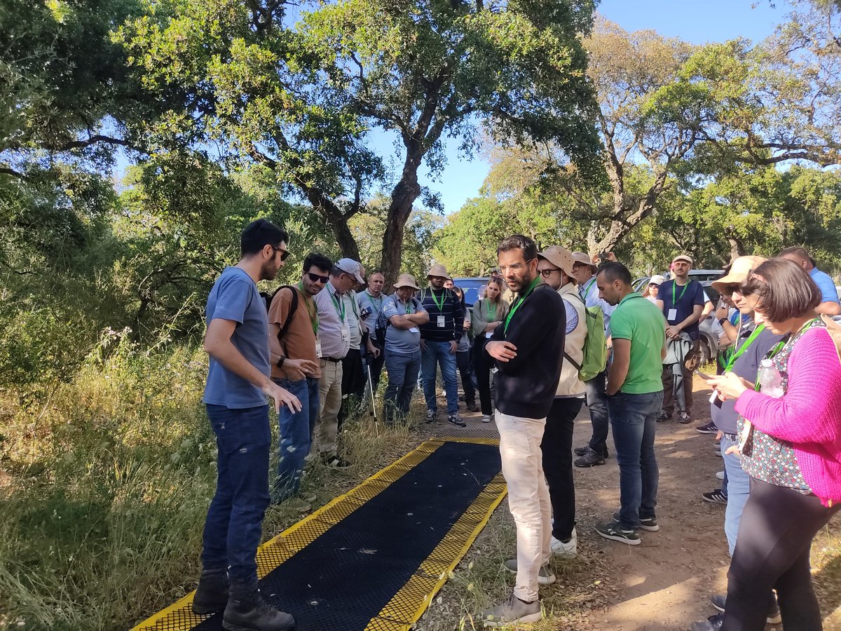 Progetto Life Fagesos (@fagesos) on Twitter photo ๐ Projects meet, visions grow! At the #SALAMMED General Assembly, Andrea Brandano & Antonio Deidda presented #LIFEFagesos to delegates from ๐ช๐ธ๐ฒ๐ฆ๐น๐ณ๐ฌ๐ท๐ฎ๐น๐ช๐ฌ. A great moment of exchange on sustainable soil & forest management.
#LIFEProgramme #LIFEAmplifiers #LIFEFagesos ๐ Projects meet, visions grow! At the #SALAMMED General Assembly, Andrea Brandano & Antonio Deidda presented #LIFEFagesos to delegates from ๐ช๐ธ๐ฒ๐ฆ๐น๐ณ๐ฌ๐ท๐ฎ๐น๐ช๐ฌ. A great moment of exchange on sustainable soil & forest management.
#LIFEProgramme #LIFEAmplifiers #LIFEFagesos