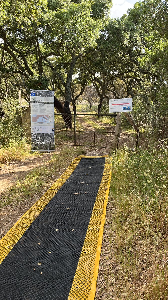 Progetto Life Fagesos tweet media