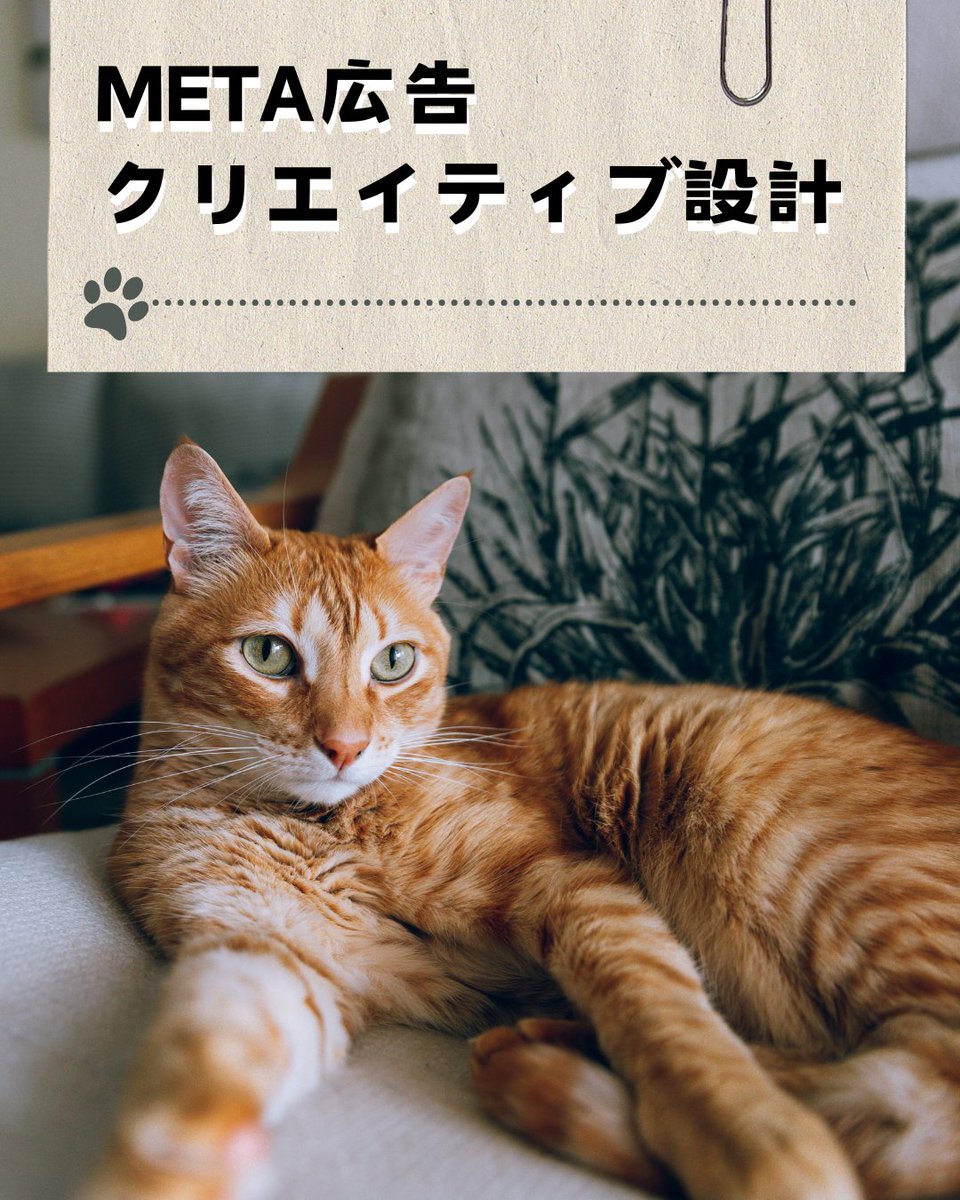 委託先へ⊂('ω'⊂ )))Σ≡GO!! エクストラパック 第28弾 シークレット☆フェスティバル!! ｜ Z/X