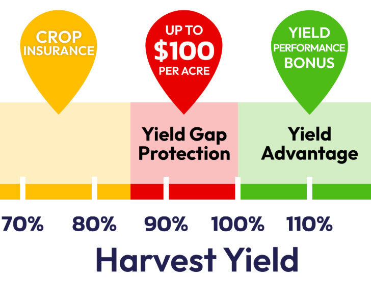 AcreShield's tweet image. 🌾 Protect your harvest like a pro! When your harvest yield falls within the Yield Gap, you could qualify for a Yield Gap Protection Payment. Don’t leave your yields to chance—secure them with AcreShield! #Agriculture #YieldProtection #AcreShield