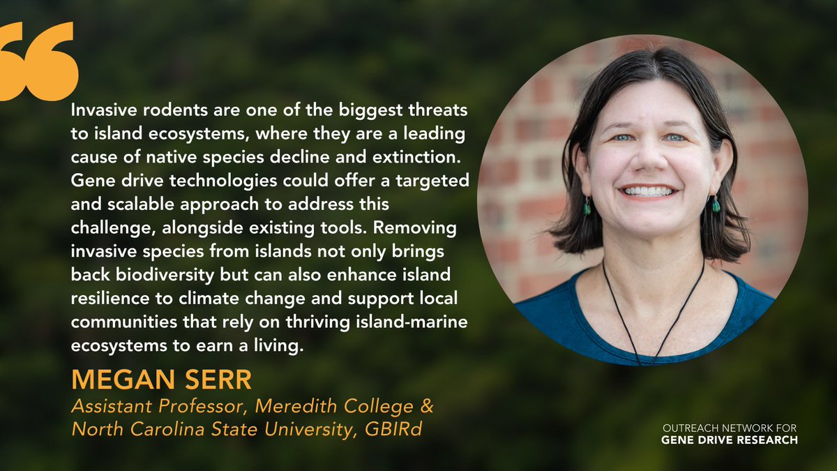 Invasive rodents are a leading cause of extinctions on islands. 🐀🏝️

This #BiodiversityDay, <a href="/SerrMegan/">Megan Serr</a> highlights how removing #invasivespecies contributes to healthier ecosystems and communities.

<a href="/UNBiodiversity/">UN Biodiversity</a> 
 
<a href="/MeredithCollege/">Meredith College</a> <a href="/NCState/">NC State University</a>