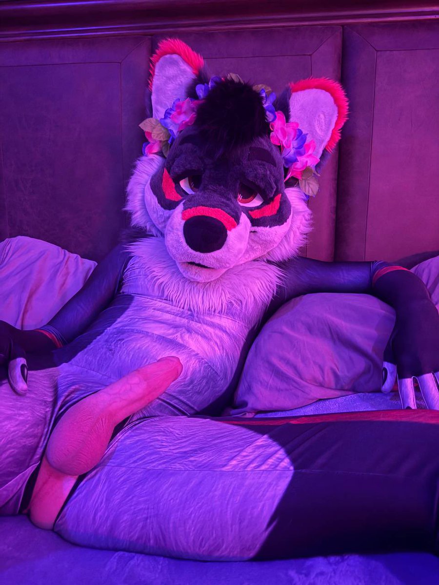 Does anyone know where I can bury this bone? 🥺🥺