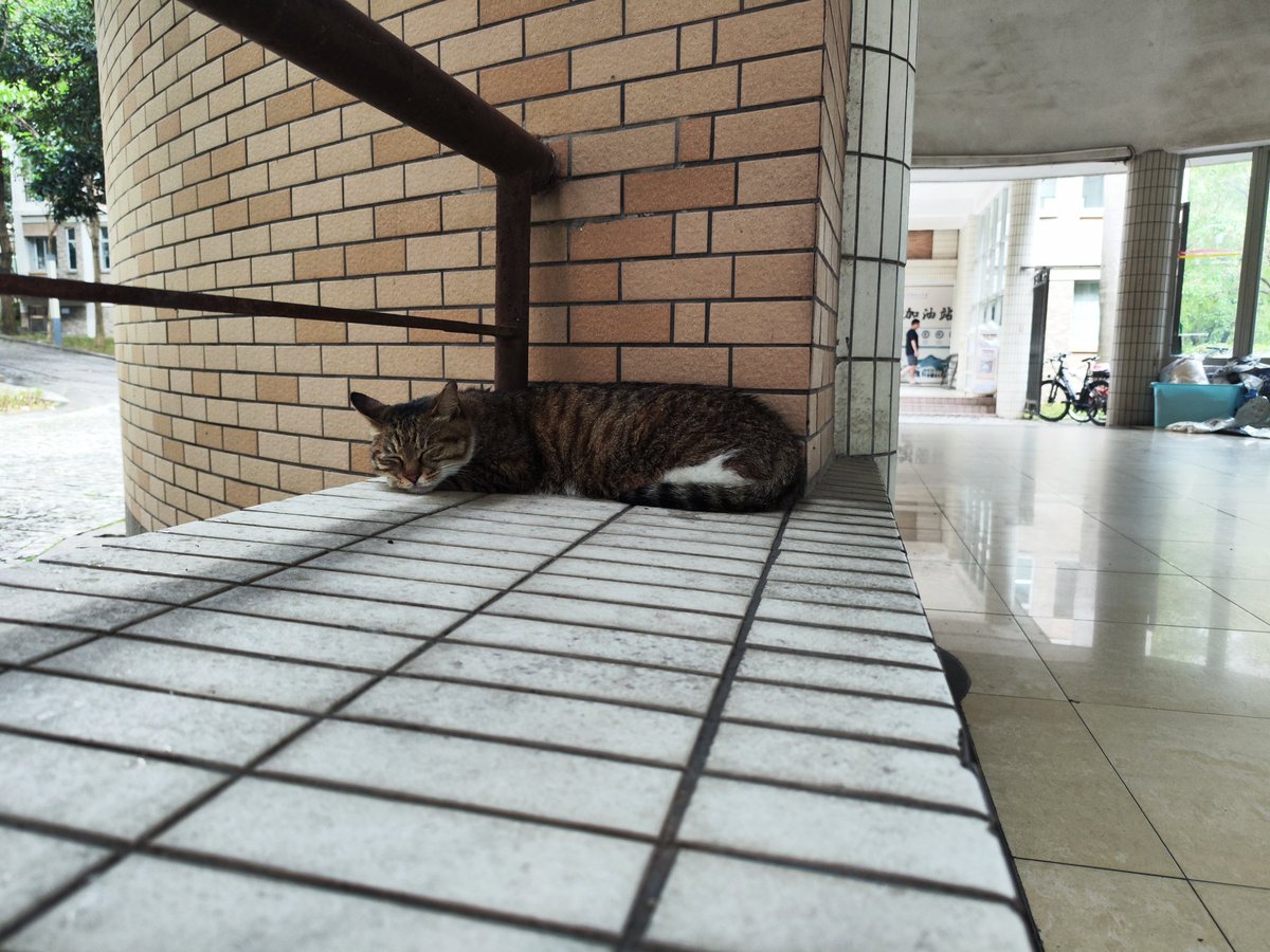 Jeanlovecats's tweet photo. day65
这几天挺难过的 https://t.co/gMMADWdUrt