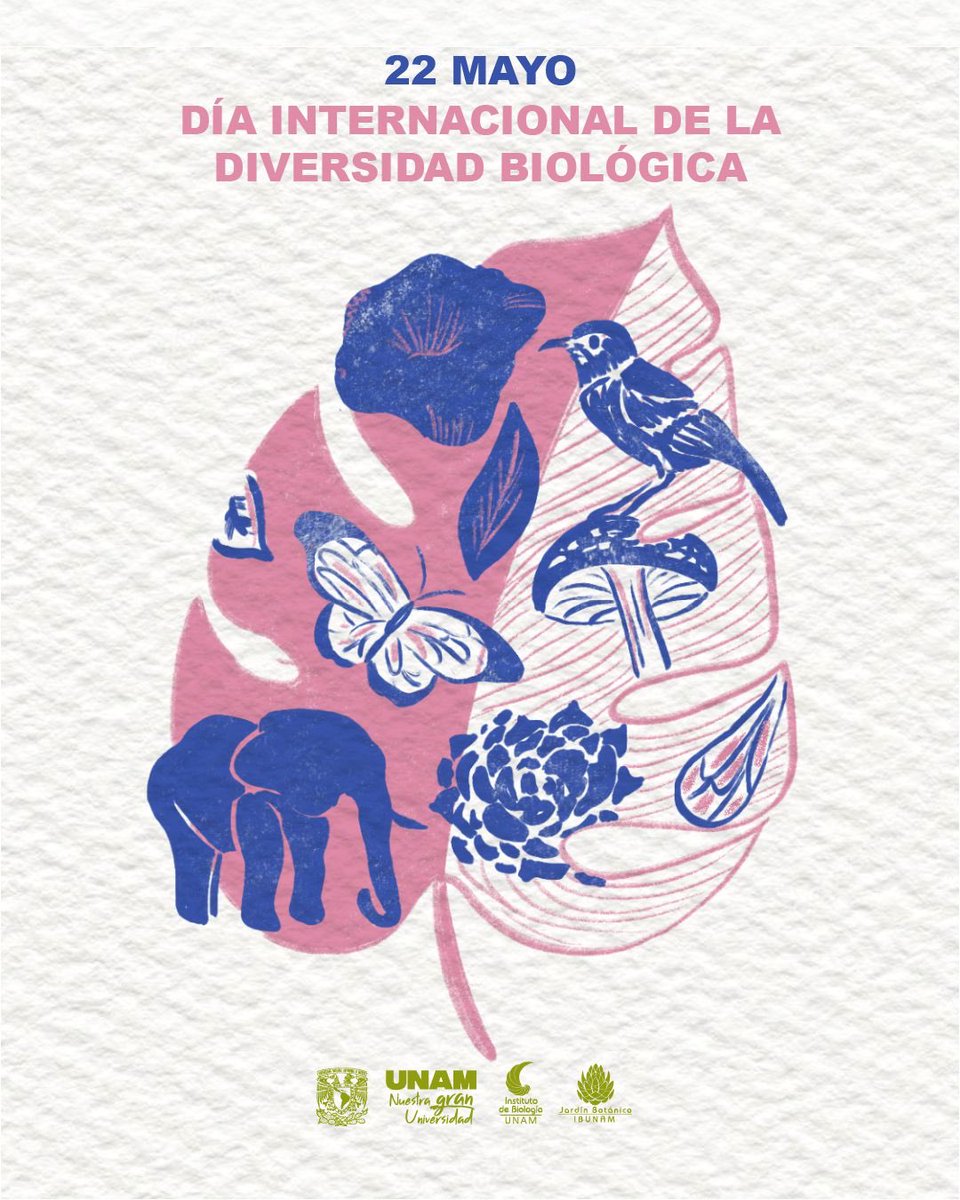 JBUNAM's tweet photo. En la Ciudad de México, no te imaginas cuánta biodiversidad tenemos, hay que protegerla además de celebrarla. https://t.co/8onXHZr0C8