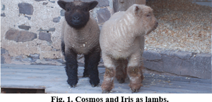 DrJamesEHansen's tweet image. There is time for a thoughtful view of our fellow creatures and habitat. See 22 May - End of an Era - mailchi.mp/caa/end-of-an-…
Find me on Bluesky: @drjamesehansen.bsky.social