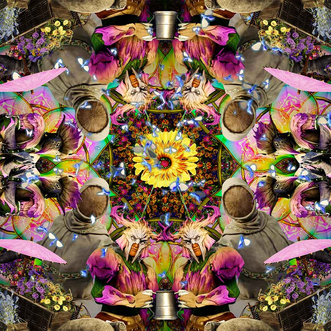 Kannst du die Wispy Wasps finden?