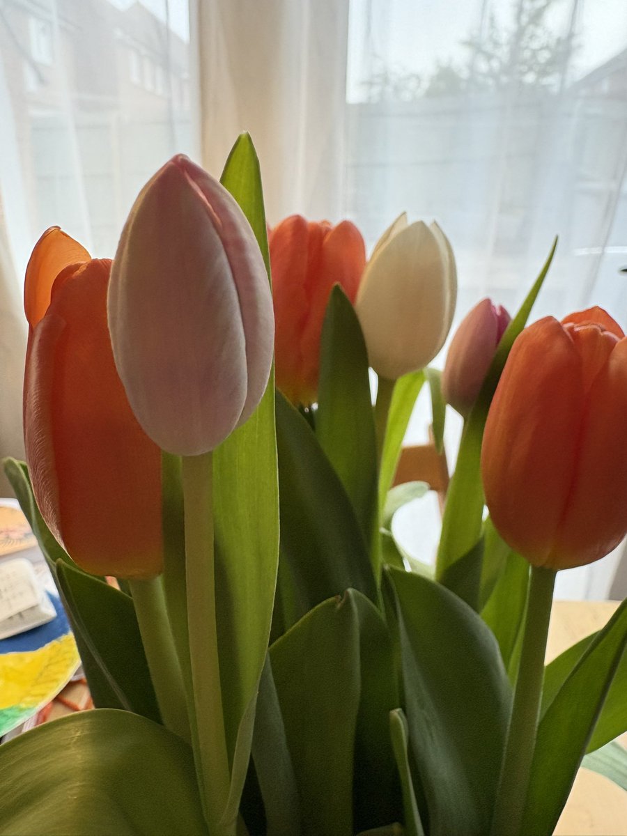 Becci O'Rourke-Holder tweet media