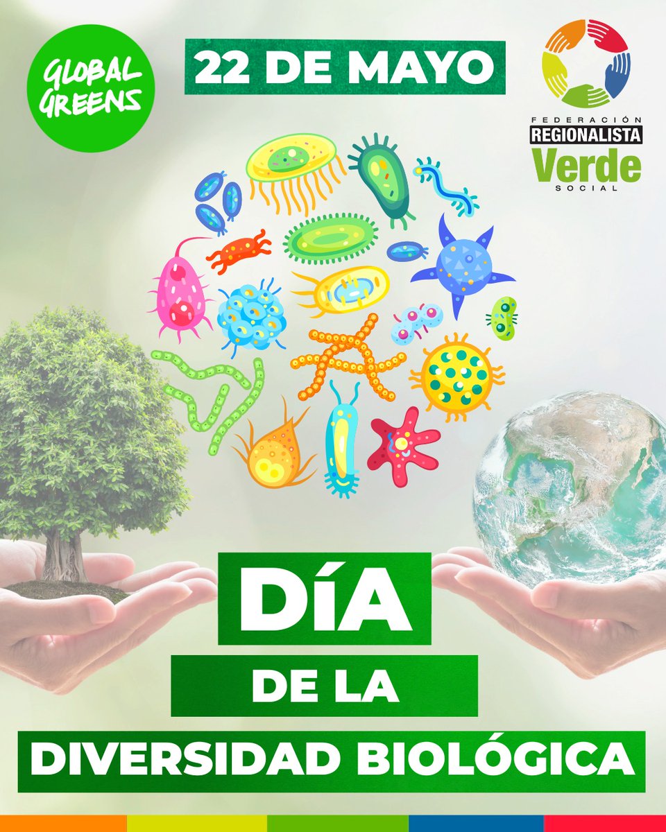 regverdes's tweet photo. 🌍 Hoy, 22 de mayo, es el Día Internacional de la Diversidad Biológica 🧬🦋🌿
Reafirmamos nuestro compromiso con la defensa de todas las formas de vida ✊🌱
¡Cuidar la biodiversidad es cuidar el futuro! ♻️💚
#DiversidadBiológica #FREVS #VerdeEsFuturo #GlobalGreens https://t.co/iokZARHGWk