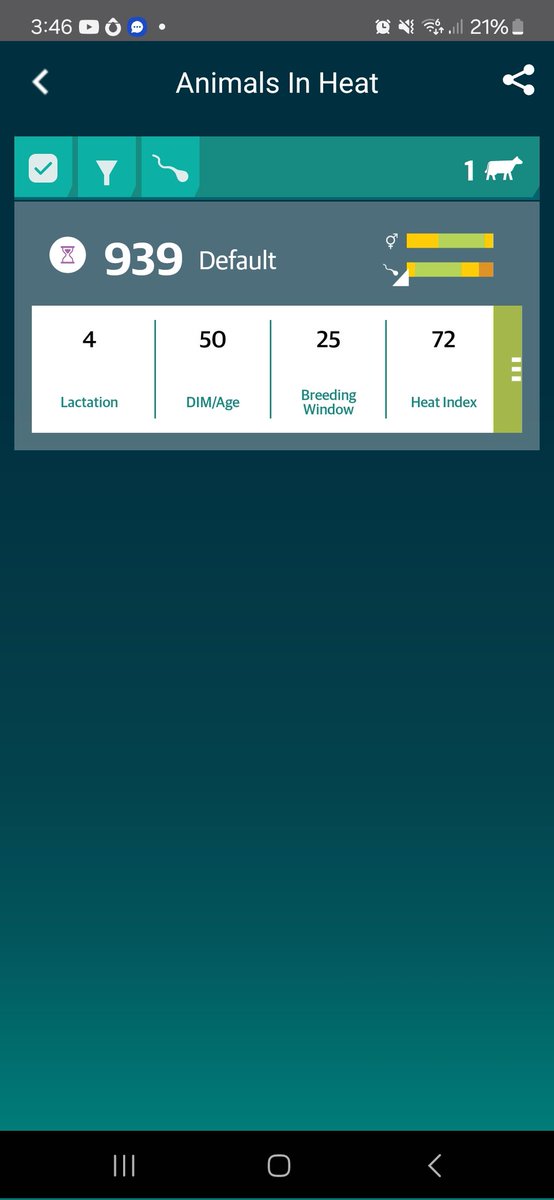 Always worth giving them a shot of prostaglandin to bring them into heat, this girl got the shot yesterday morming🙂 

#BreedingSeason2025🐄🇮🇪