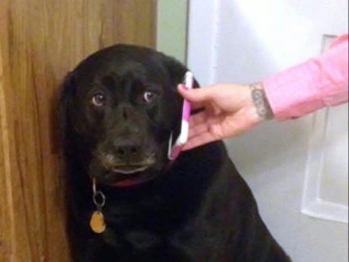 tomiezequiel15's tweet image. “hola tía, bien y usted?”