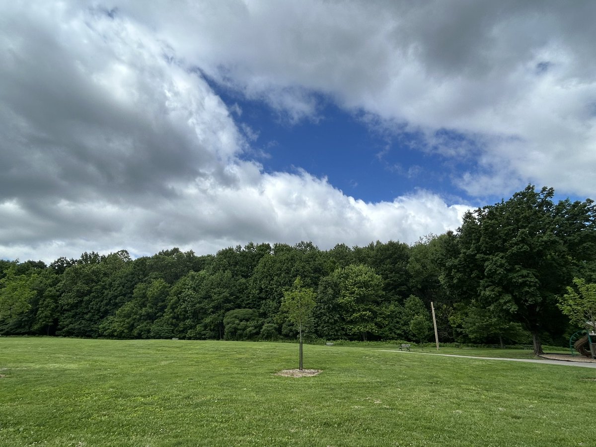 Kentucky is green