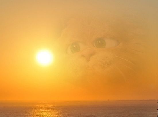 У ВАС нет границ . Сие прстыя " доказатильствы " того чо вы сие то чо невидимо дадджыть для упёртого вума .