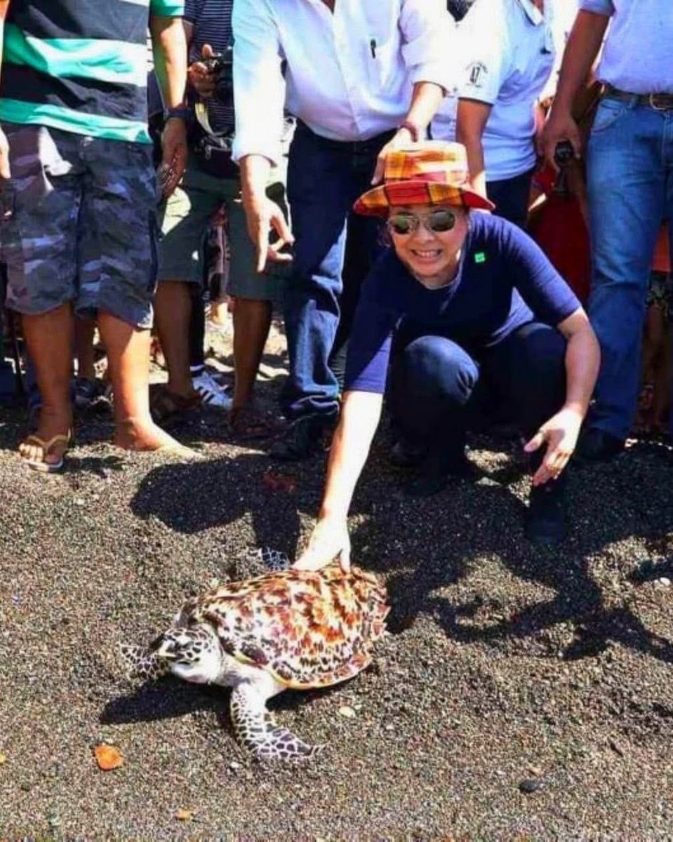 The pawikan has roamed our seas for millions of years, but today, they face extinction, threatened by poaching, plastic pollution, and the destruction of their coastal habitats.

In 2019, I was deeply honored when a rehabilitated sea turtle released into the Lamawan Pony Marine