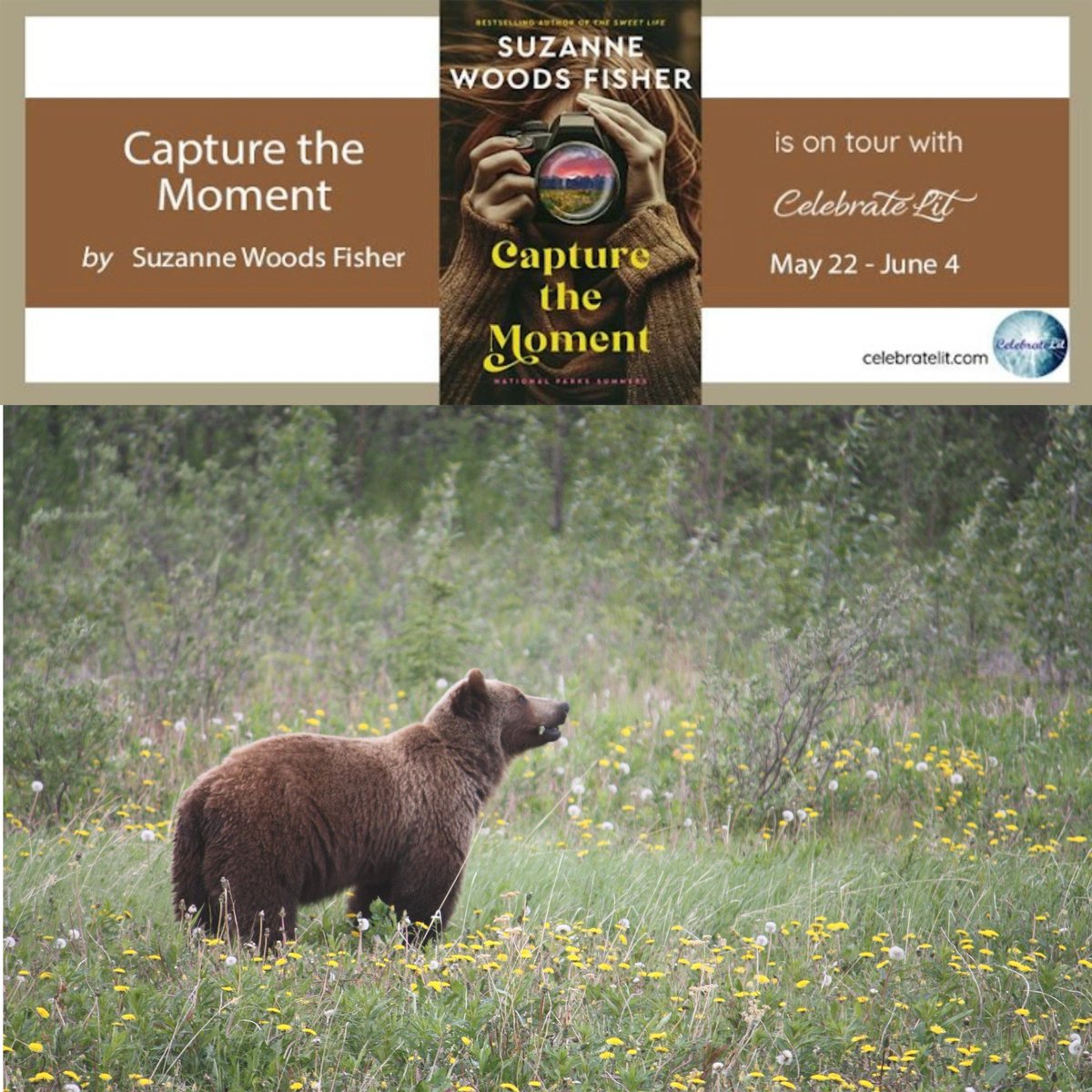 Betsy Tieperman (@betsytieperman) on Twitter photo The first book in a brand-new national parks series from author Suzanne Woods Fisher is now on tour with Celebrate Lit! <a href="/suzannewfisher/">suzanne@suzannewoodsfisher.com</a> #capturethemoment #nationalparkssummersseries #revellpublishing <a href="/Celebrate_Lit/">Celebrate Lit</a> The first book in a brand-new national parks series from author Suzanne Woods Fisher is now on tour with Celebrate Lit! <a href="/suzannewfisher/">suzanne@suzannewoodsfisher.com</a> #capturethemoment #nationalparkssummersseries #revellpublishing <a href="/Celebrate_Lit/">Celebrate Lit</a>