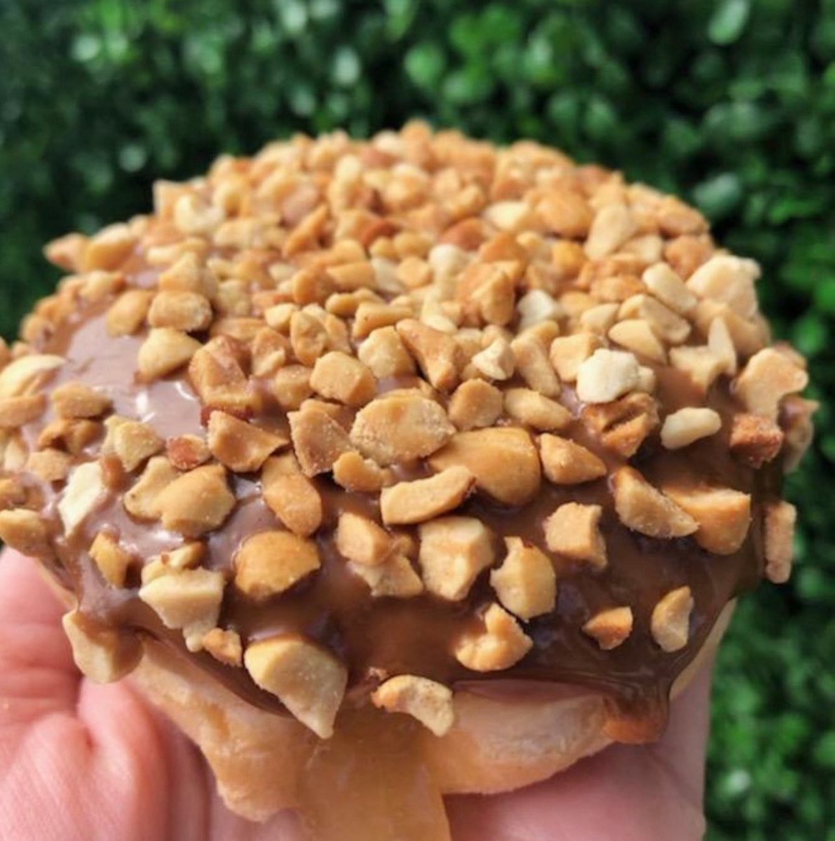 “Fill It” Friday Presents 👇. {Fri May 23rd} 
Caramel Apple 🍎 
Our yeast shell filled with Apple turnover, dipped in caramel fudge , topped with chopped nuts. 🔥🍎 Limit 8 per person. See you Friday.  
{ We can prepare this item without nuts }