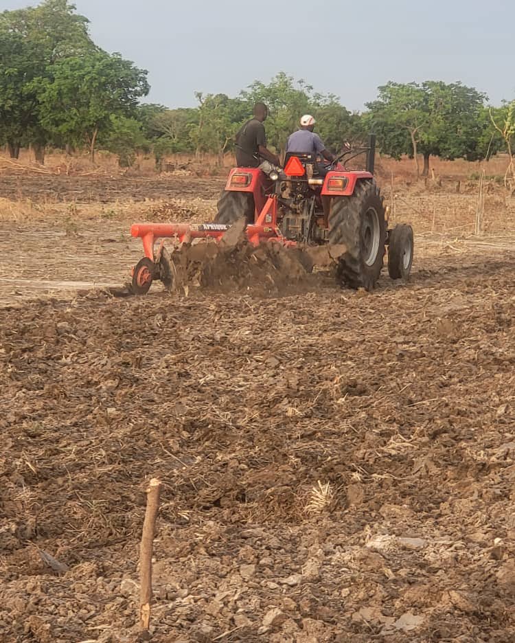 Accroître la production agricole en Afrique, un élément essentiel pour atteindre l'autosuffisance alimentaire.

Vive les bonnes initiatives 
Vive l'Unité Africaine

<a href="/cherifa_zerbo/">Elielle Cherifa Zerbo</a> <a href="/fff_burkinafaso/">Fridays For Future Burkina Faso</a> 
<a href="/JeunesvoixTchad/">Jeunes Voix du Sahel/Tchad</a> <a href="/mrcheickna/">Mister Environment</a> @