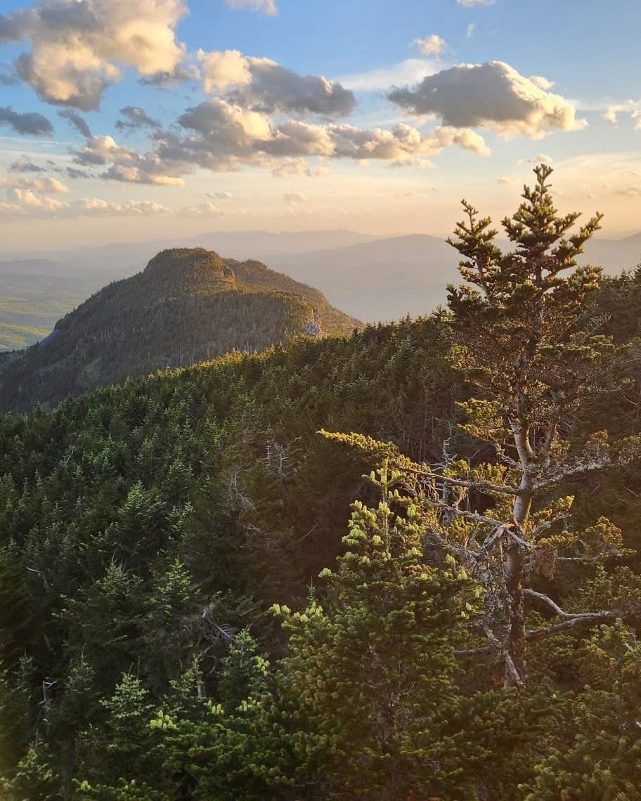 JamesHu27192912's tweet photo. The sunset at Grandfather Mountain viewed from Calloway Peak.

5.17.2025
Avery County, North Carolina.

#grandfathermountain #averycountync https://t.co/th3gVF08m6