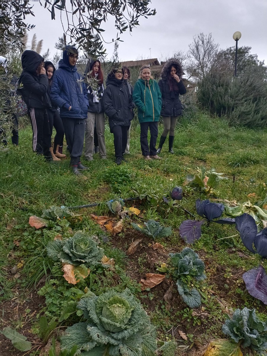 True ecological education connects science with traditional wisdom,  revealing how soil, seeds, health, and culture are intertwined.  Ecological literacy empowers communities to regenerate their  environments and reclaim food sovereignty. #WorldBiodiversityDay