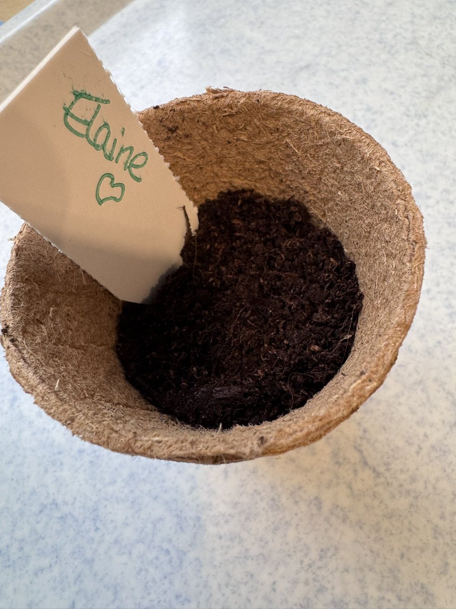 CHFT-Ward5HRI (@hriward5) on Twitter photo Ward 5 have been busy planting sunflower seeds!
<a href="/CHFTCharity/">Calderdale & Huddersfield NHS Charityπ§‘</a>
<a href="/CHFTNHS/">Calderdale and Huddersfield NHS Foundation Trust</a> Ward 5 have been busy planting sunflower seeds!
<a href="/CHFTCharity/">Calderdale & Huddersfield NHS Charityπ§‘</a>
<a href="/CHFTNHS/">Calderdale and Huddersfield NHS Foundation Trust</a>