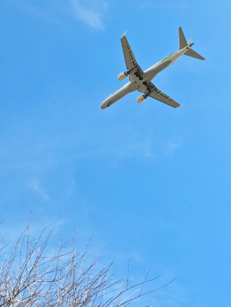 TheWaldo64's tweet photo. D-AZFA #BinterCanarias #GermanAirways #ERJ190 🛫 Gran Canaria🛬Menorca #LEMH (2024) https://t.co/UACbHUqGdT