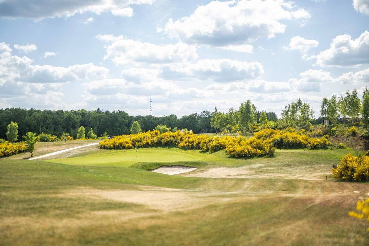 Jonathan Davison tweet media