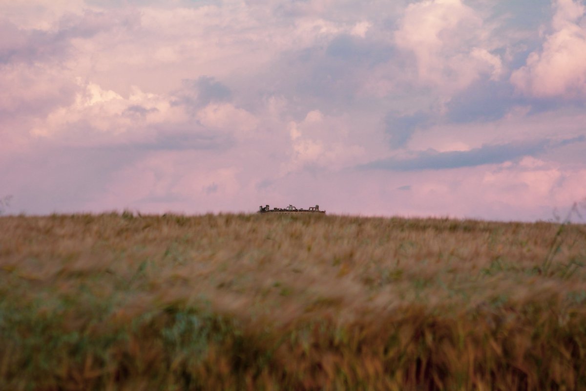 maría 🌾 tweet media