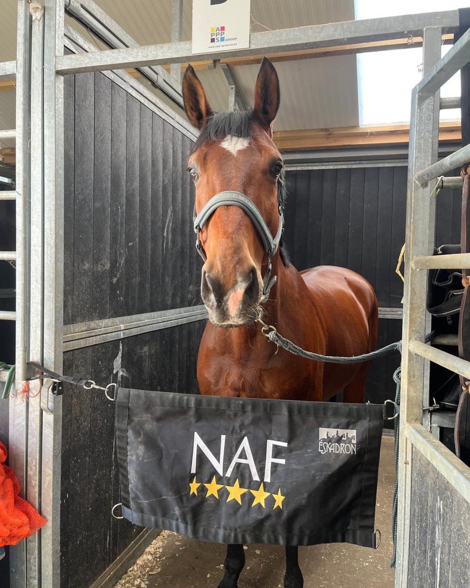 📸 Cuteness level: 💯

Don’t forget to double tap if this face made you smile 🥰

Thanks to @severo_jurado_lopez for this adorable photo #TeamNAF
