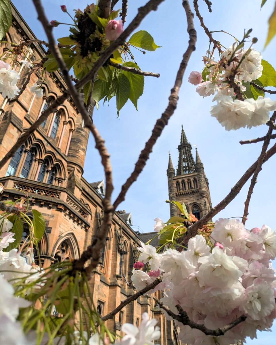 UofG_Alumni's tweet image. Goodbye Spring 🌸🌷🌼🌱
With Spring almost over, we're sharing some of our favourite campus pics from #Spring2025
#uofglasgow