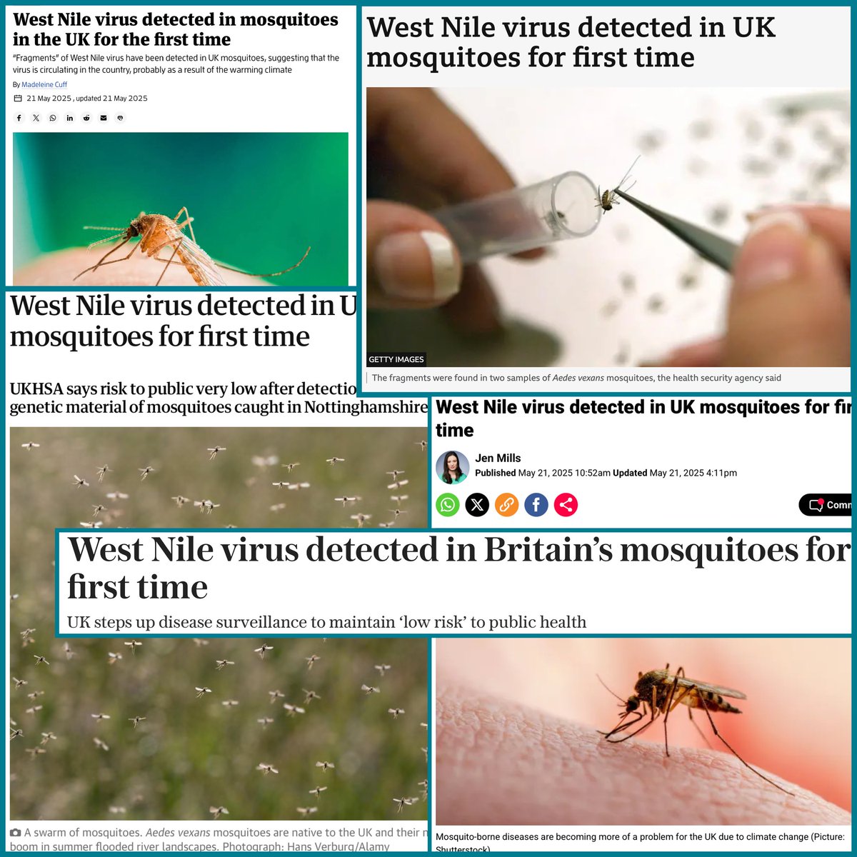 You may have seen worrying media coverage of the detection of West Nile virus in mosquitos collected in the UK. 🦟

There is no evidence to suggest ongoing circulation of the virus in mosquitos in the UK and the risk to the general public is very low.

gov.uk/government/new…