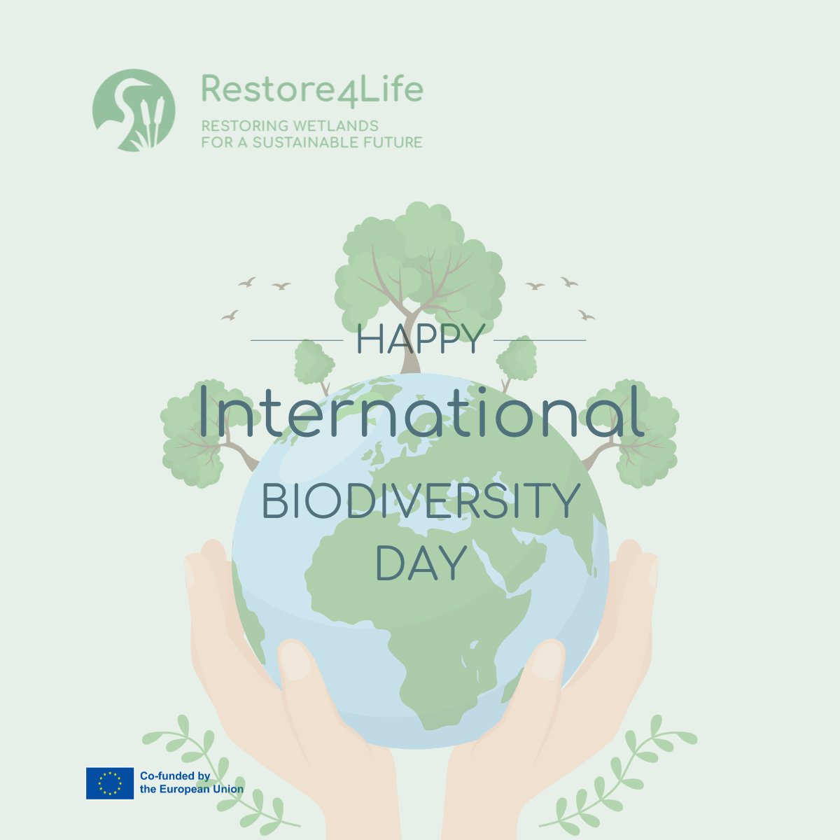 𝗛𝗮𝗽𝗽𝘆 𝗜𝗻𝘁𝗲𝗿𝗻𝗮𝘁𝗶𝗼𝗻𝗮𝗹 𝗕𝗶𝗼𝗱𝗶𝘃𝗲𝗿𝘀𝗶𝘁𝘆 𝗗𝗮𝘆! 🌎🌿