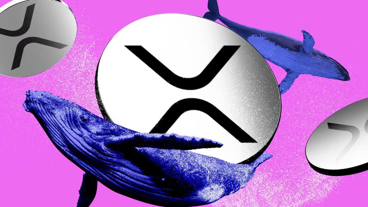🚨 BREAKING: "Rivoluzione nel Trading: Lanciato il Primo ETF Globale sui Futures di XRP al Nasdaq"