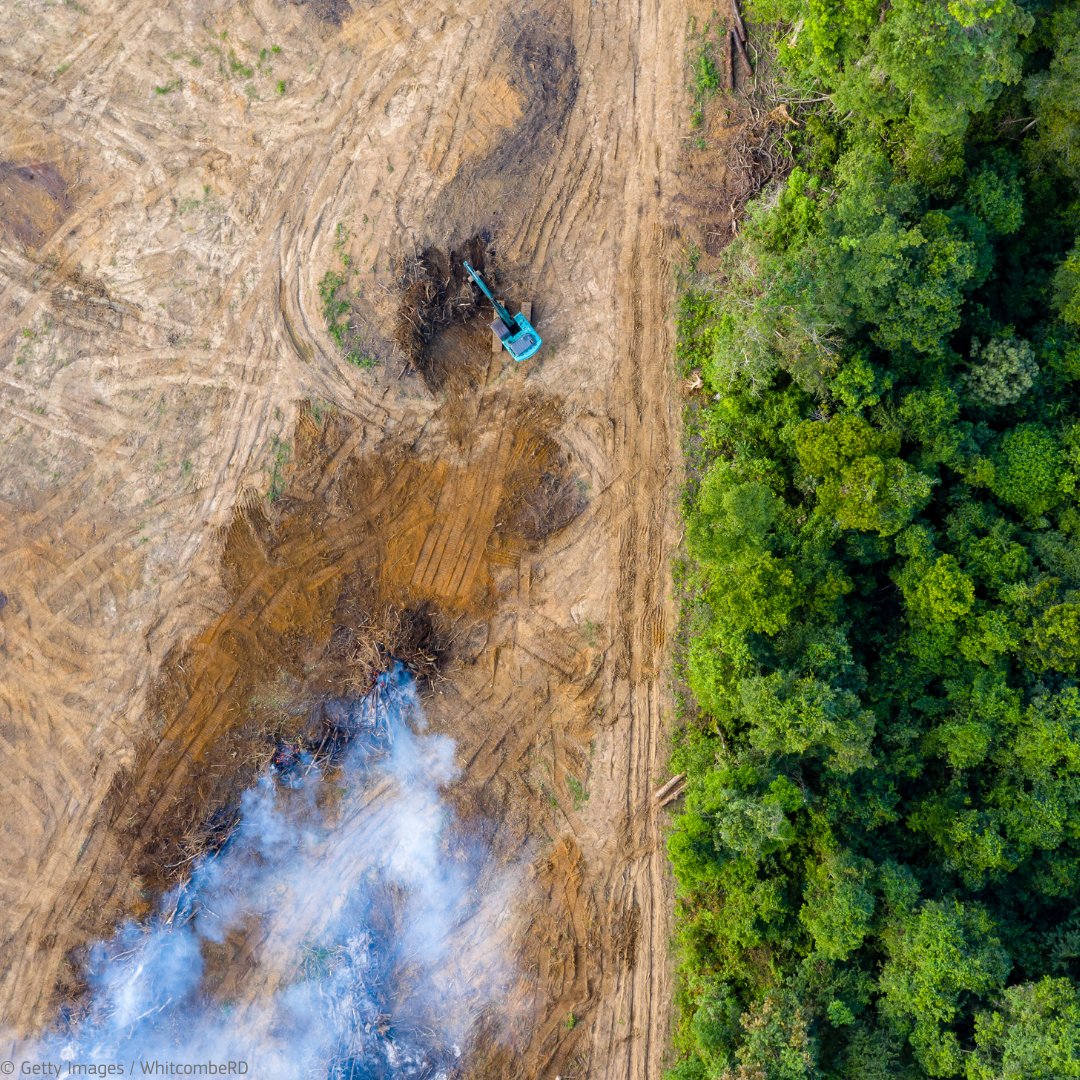 🆕 We published the 1st benchmarking list under the EU Deforestation Regulation to:

📊classify countries according to the risk of deforestation when producing the commodities covered by #EUDR
✅ensure simple, fair &amp; cost-efficient implementation 

More 👉 europa.eu/!CgQpfc