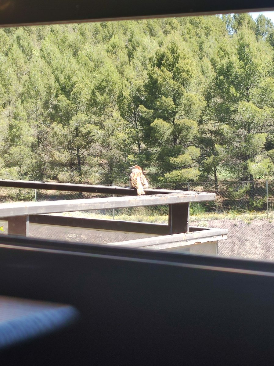 Alberta in Wonderland 47 tweet media