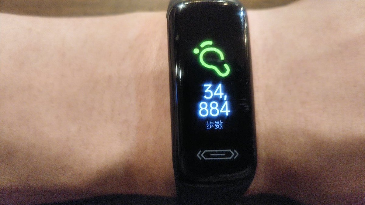 今日の歩数がエグいwww