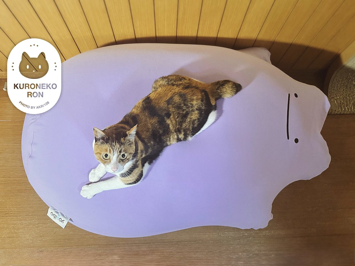 かくれんぼ？くんレギュラーサイズ用 青猫さまのページ かくれんぼ？くんレギュラーサイズ用 青猫さまのページ