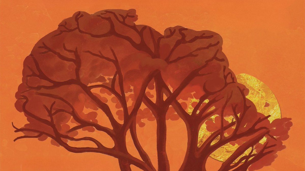 🌍Afrikaren Astea 2025
Florida parkean, maiatzaren 24an, jaialdia izango da. Ez ezazu galdu!
 
🌍Semana de África 2025
En el Kiosko del parque de la Florida el próximo sábado 24 de mayo habrá un festival. ¡No te lo pierdas!
🔗Más información: v-g.eus/Afrika2025