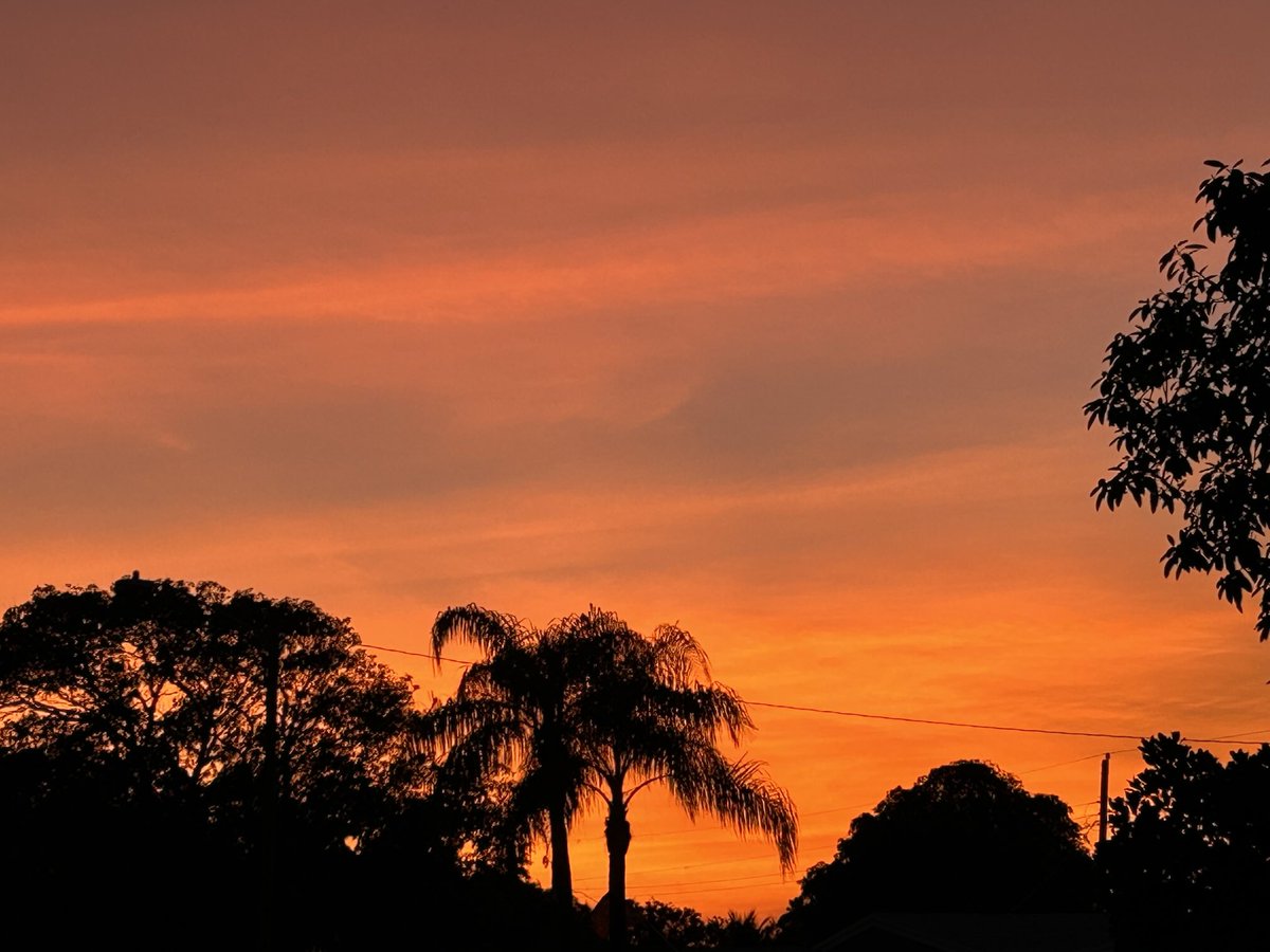 Gm fam &amp; happy Thor’s day 😊🧡🧡