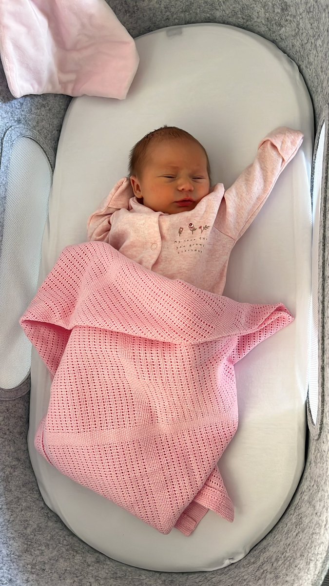 Daniel McLaughlin tweet media