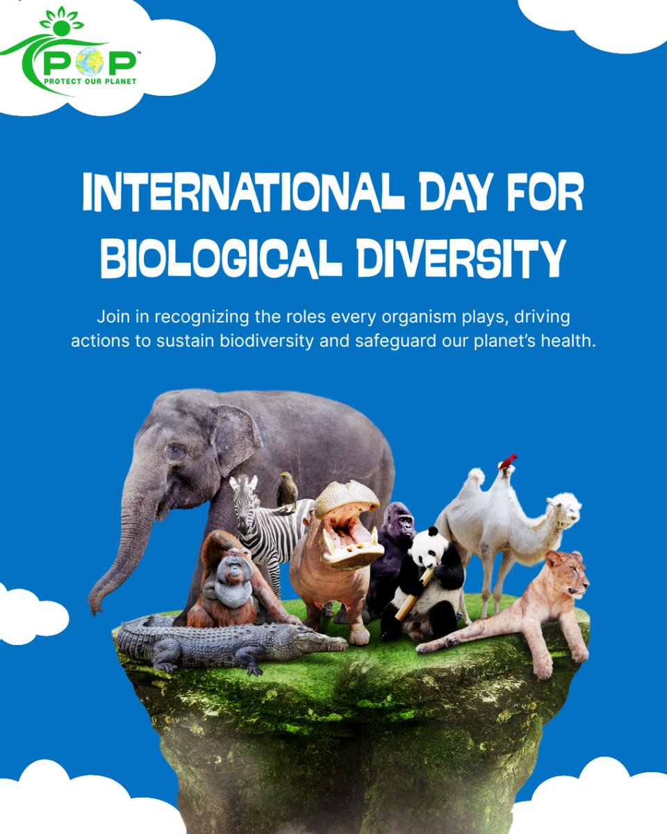 🗓️ 22 May | Today is the International Day for Biological Diversity! 🐝🌿

Let’s celebrate the incredible variety of #life on Earth and remember that every species—big or small—matters. 🌺🦋🦓 From #forests to #oceans, biodiversity keeps our planet #healthy and #balanced. 🌊🌳