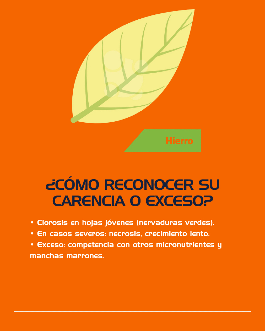 CSR LABORATORIO tweet media